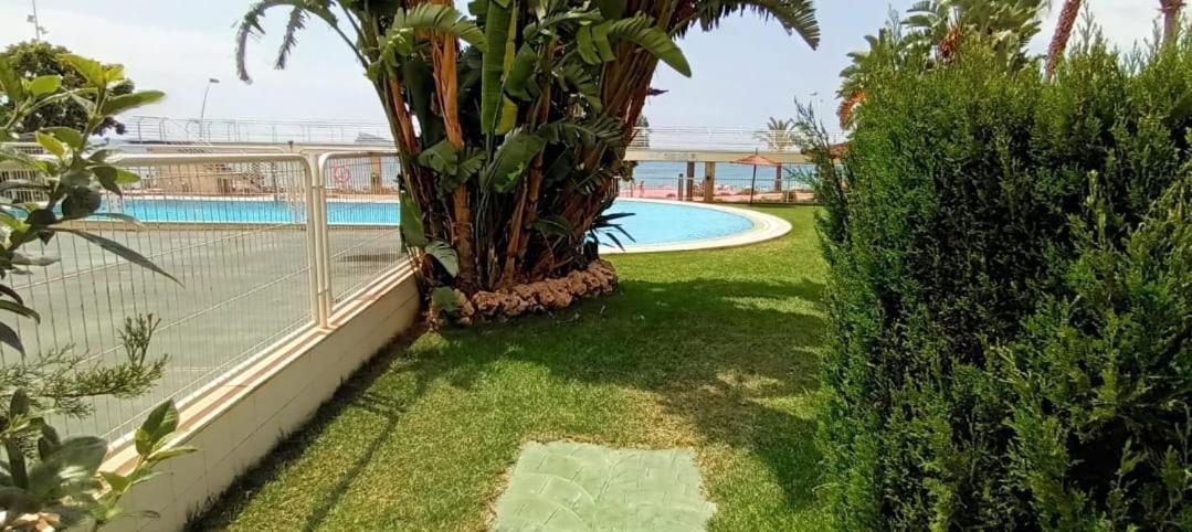 Apartamento Acapulco Luxe Piso 3 En 1A Linea Playa Poniente Benidorm Top Vistas Al Mar Espectaculares Y De Luxe Con Acceso A Piscina Y Garaje Privado Extérieur photo